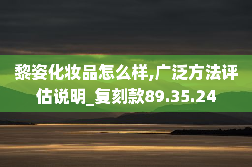 黎姿化妆品怎么样,广泛方法评估说明_复刻款89.35.24