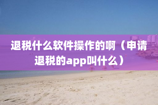 退税什么软件操作的啊（申请退税的app叫什么）