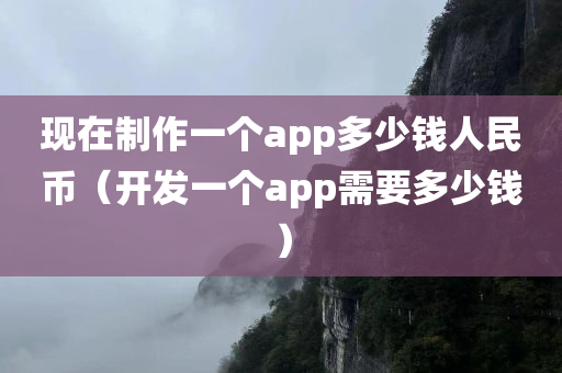 现在制作一个app多少钱人民币（开发一个app需要多少钱）