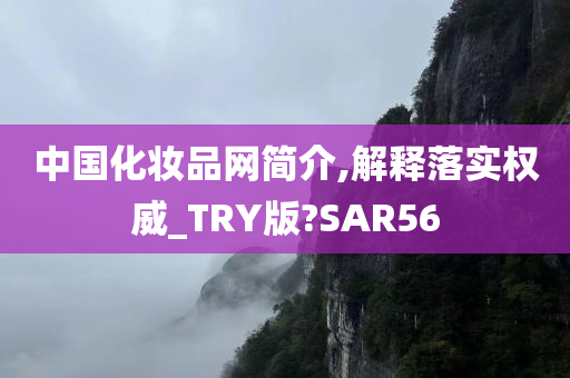 中国化妆品网简介,解释落实权威_TRY版?SAR56