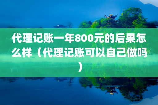 代理记账一年800元的后果怎么样（代理记账可以自己做吗）