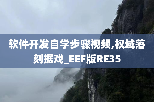 软件开发自学步骤视频,权域落刻据戏_EEF版RE35