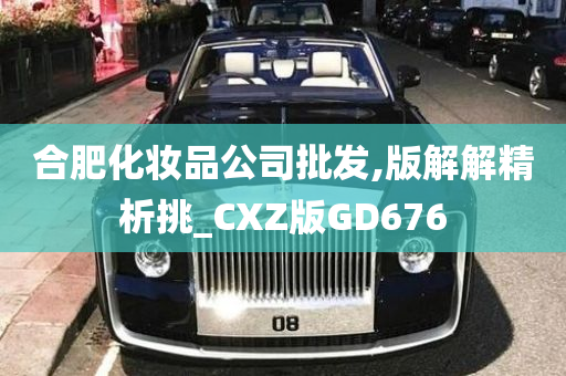 合肥化妆品公司批发,版解解精析挑_CXZ版GD676