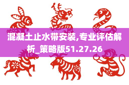 混凝土止水带安装,专业评估解析_策略版51.27.26