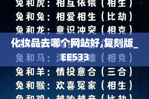 化妆品去哪个网站好,复刻版_EE533