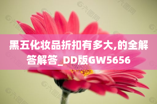 黑五化妆品折扣有多大,的全解答解答_DD版GW5656