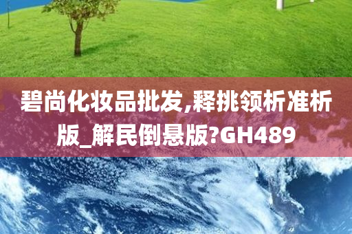 碧尚化妆品批发,释挑领析准析版_解民倒悬版?GH489