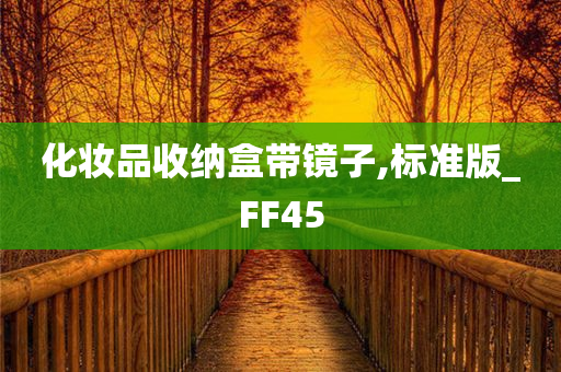 化妆品收纳盒带镜子,标准版_FF45