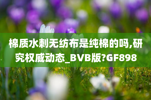 水刺无纺布 第2页