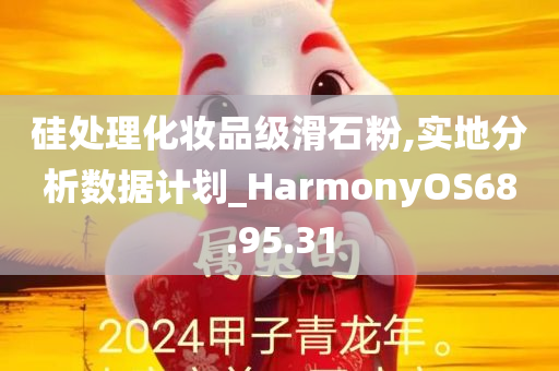 硅处理化妆品级滑石粉,实地分析数据计划_HarmonyOS68.95.31