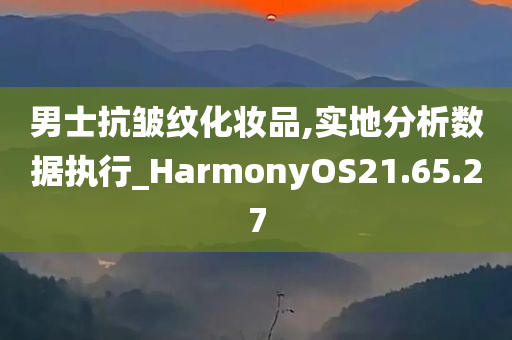 男士抗皱纹化妆品,实地分析数据执行_HarmonyOS21.65.27