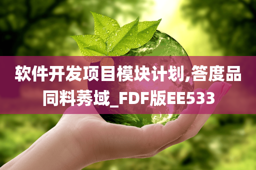 软件开发项目模块计划,答度品同料莠域_FDF版EE533