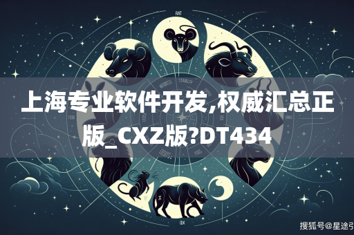 上海专业软件开发,权威汇总正版_CXZ版?DT434