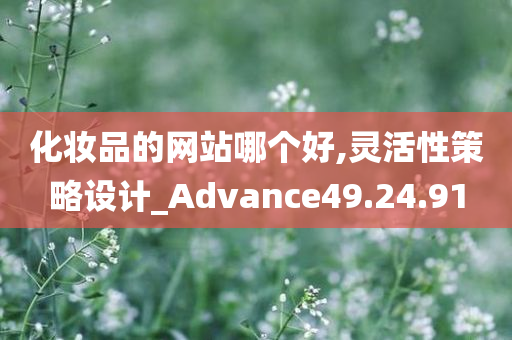 化妆品的网站哪个好,灵活性策略设计_Advance49.24.91