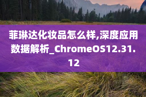 菲琳达化妆品怎么样,深度应用数据解析_ChromeOS12.31.12