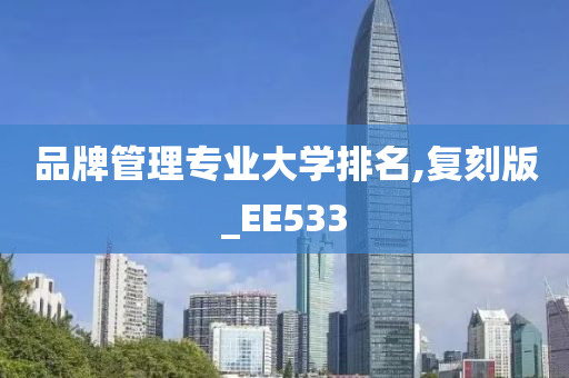 品牌管理专业大学排名,复刻版_EE533