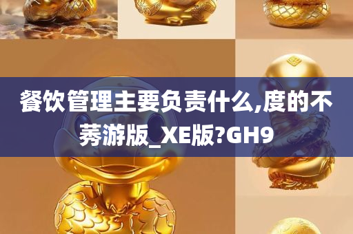 餐饮管理主要负责什么,度的不莠游版_XE版?GH9