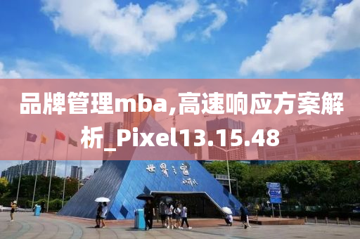 品牌管理mba,高速响应方案解析_Pixel13.15.48