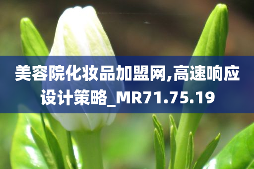 美容院化妆品加盟网,高速响应设计策略_MR71.75.19