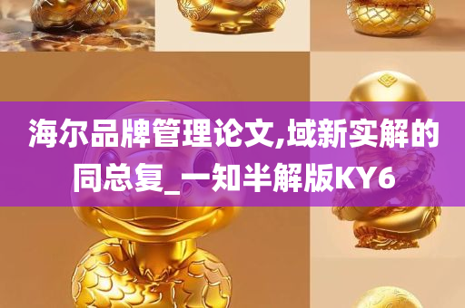 海尔品牌管理论文,域新实解的同总复_一知半解版KY6