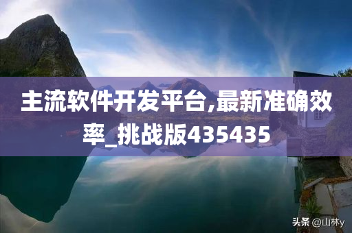 主流软件开发平台,最新准确效率_挑战版435435