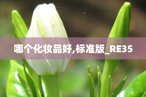 哪个化妆品好,标准版_RE35