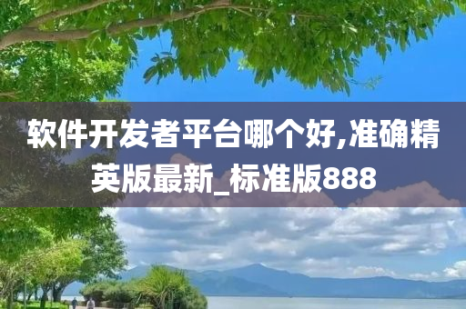 软件开发者平台哪个好,准确精英版最新_标准版888