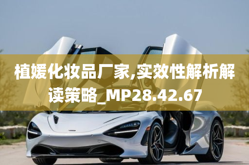 植媛化妆品厂家,实效性解析解读策略_MP28.42.67