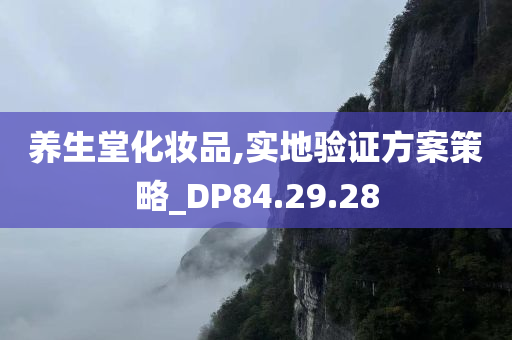 养生堂化妆品,实地验证方案策略_DP84.29.28