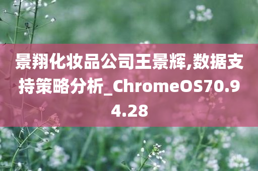 景翔化妆品公司王景辉,数据支持策略分析_ChromeOS70.94.28