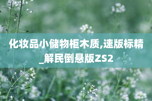 化妆品小储物柜木质,速版标精_解民倒悬版ZS2