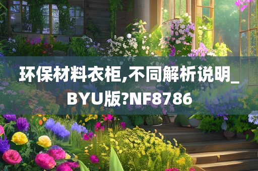 环保材料衣柜,不同解析说明_BYU版?NF8786