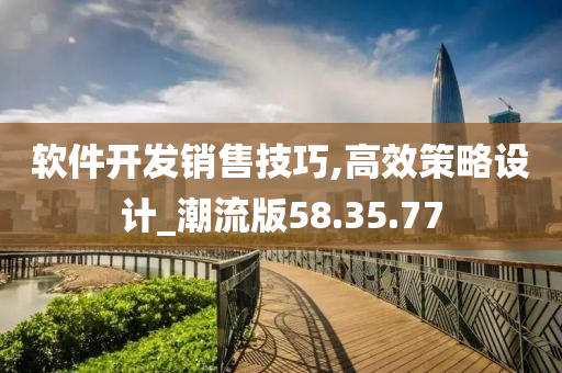 软件开发销售技巧,高效策略设计_潮流版58.35.77