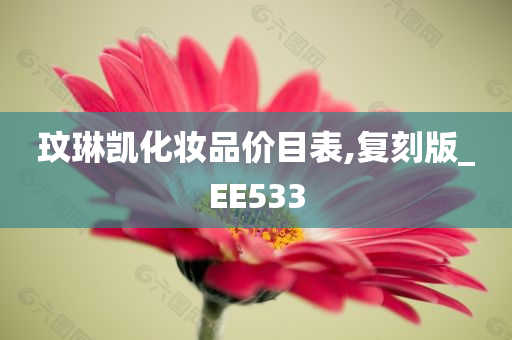 玟琳凯化妆品价目表,复刻版_EE533