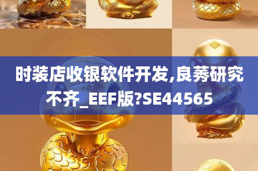 时装店收银软件开发,良莠研究不齐_EEF版?SE44565