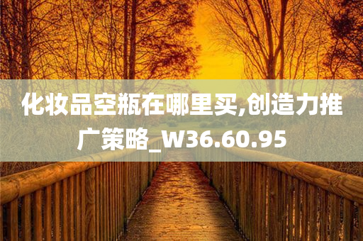 化妆品空瓶在哪里买,创造力推广策略_W36.60.95