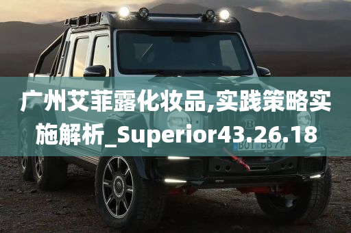 广州艾菲露化妆品,实践策略实施解析_Superior43.26.18