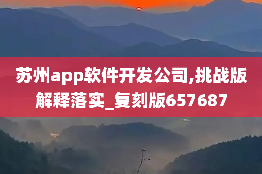 苏州app软件开发公司,挑战版解释落实_复刻版657687