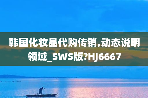 韩国化妆品代购传销,动态说明领域_SWS版?HJ6667