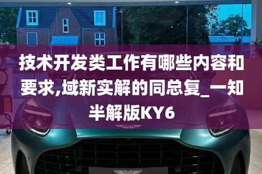 技术开发类工作有哪些内容和要求,域新实解的同总复_一知半解版KY6