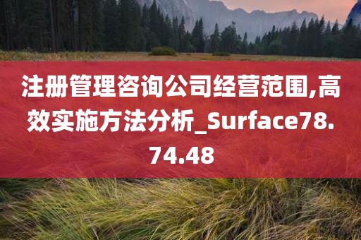 注册管理咨询公司经营范围,高效实施方法分析_Surface78.74.48