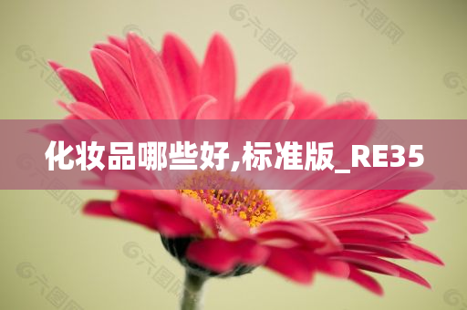 化妆品哪些好,标准版_RE35