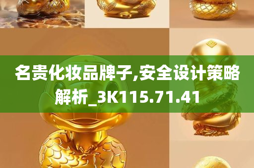 名贵化妆品牌子,安全设计策略解析_3K115.71.41