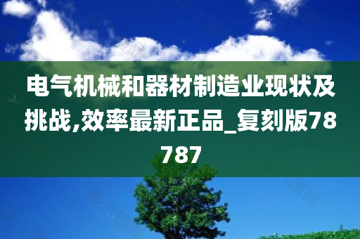 电气机械和器材制造业现状及挑战,效率最新正品_复刻版78787