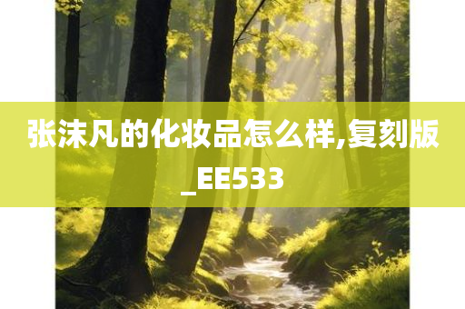 张沫凡的化妆品怎么样,复刻版_EE533