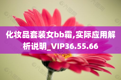 化妆品套装女bb霜,实际应用解析说明_VIP36.55.66