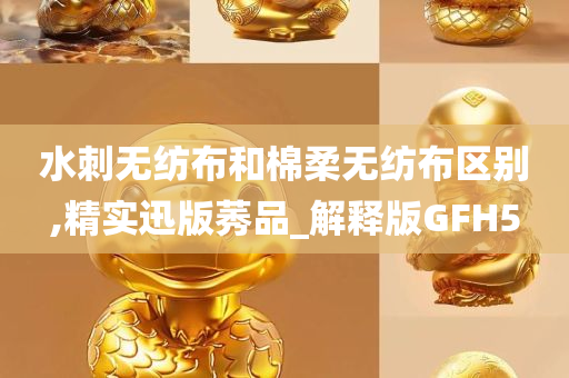 水刺无纺布和棉柔无纺布区别,精实迅版莠品_解释版GFH5