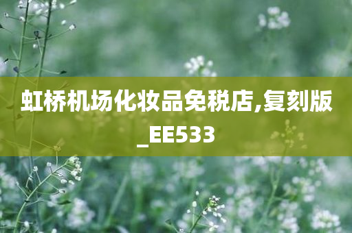 虹桥机场化妆品免税店,复刻版_EE533