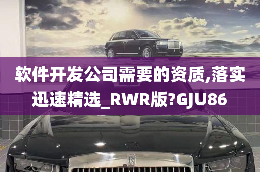 软件开发公司需要的资质,落实迅速精选_RWR版?GJU86