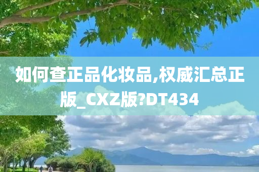 如何查正品化妆品,权威汇总正版_CXZ版?DT434